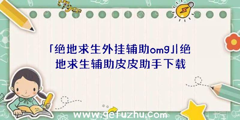 「绝地求生外挂辅助omg」|绝地求生辅助皮皮助手下载